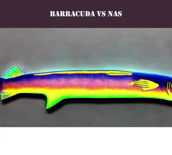 Barracuda Backup Appliance 690 vs NAS